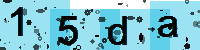 Capcha code