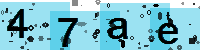 Capcha code