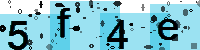 Capcha code