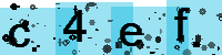 Capcha code