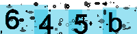 Capcha code