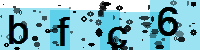 Capcha code