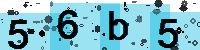 Capcha code