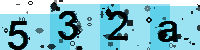 Capcha code