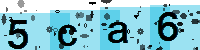 Capcha code