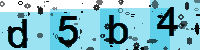 Capcha code