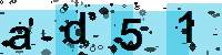 Capcha code