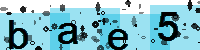 Capcha code