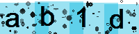 Capcha code