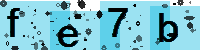 Capcha code