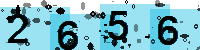 Capcha code