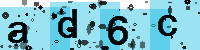 Capcha code