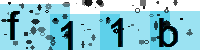 Capcha code