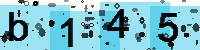 Capcha code