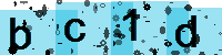 Capcha code