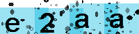 Capcha code