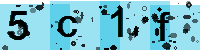 Capcha code