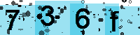 Capcha code