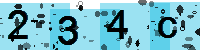Capcha code