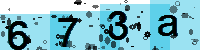 Capcha code